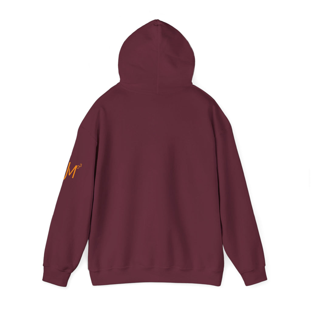 JMo3 Hoodie