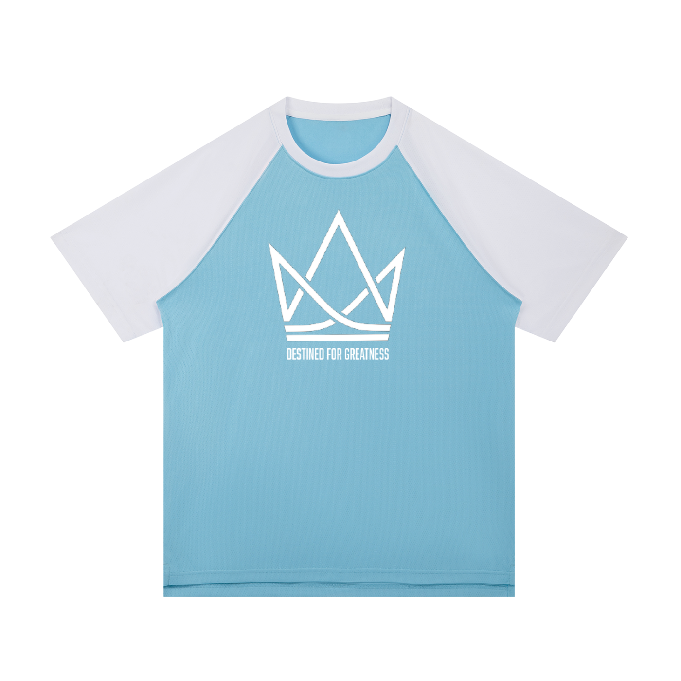 Contrast Raglan Sleeve Mesh T-Shirt