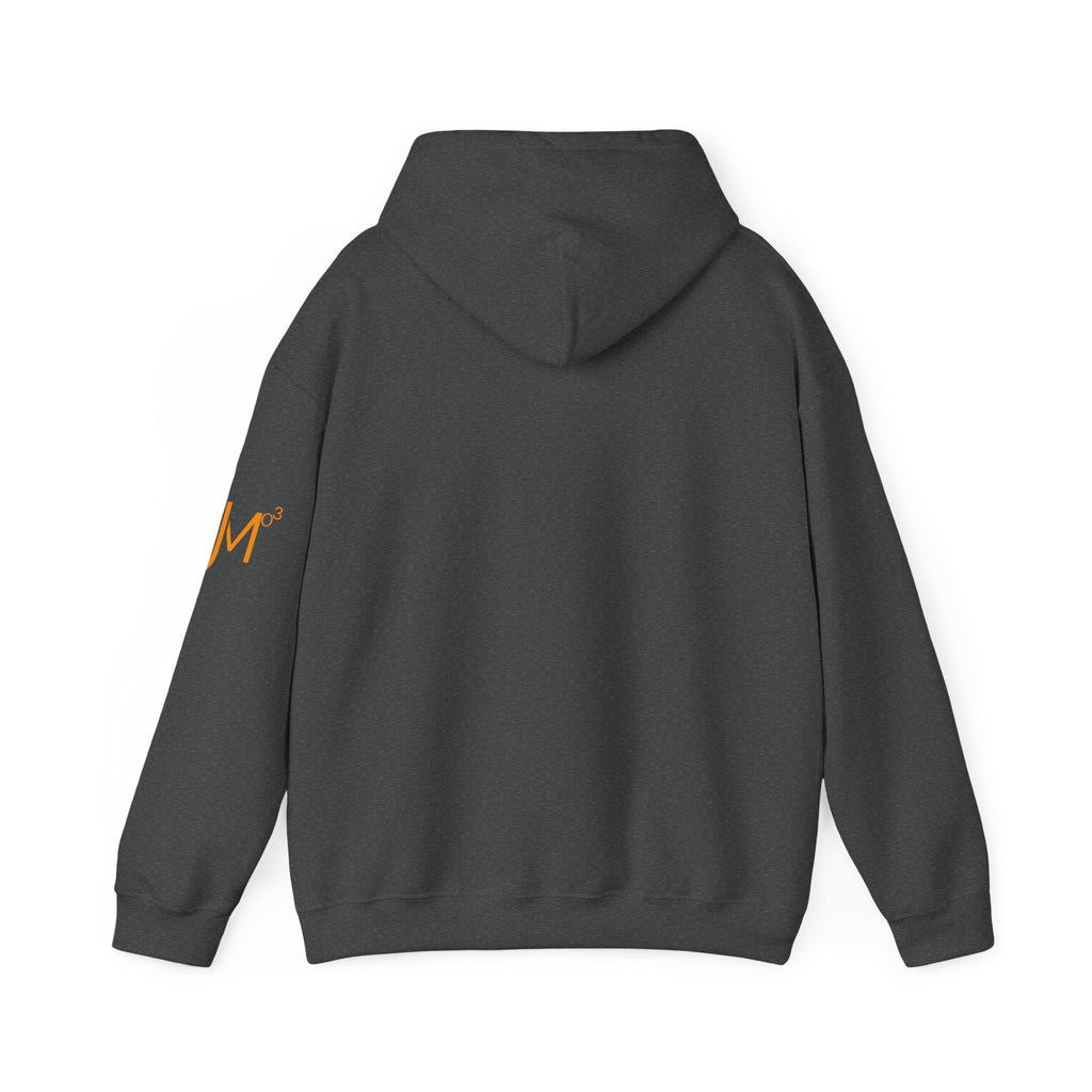 JMo3 Hoodie
