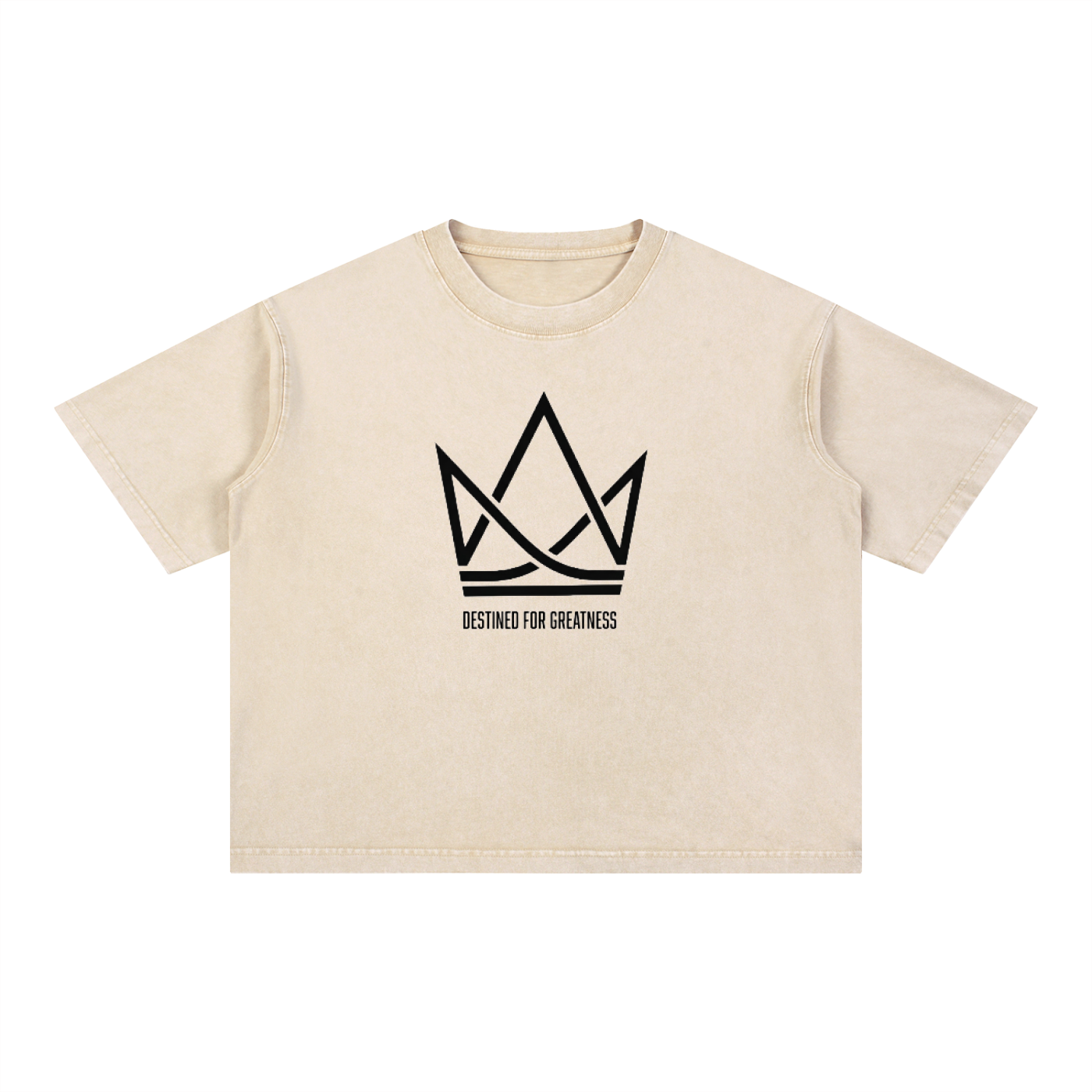 Mineral Wash Boxy Cotton T-Shirt